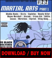 Martial Arts Riddim Vol. 1